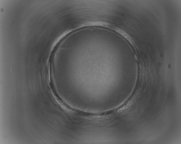 X0000070821127200606230915