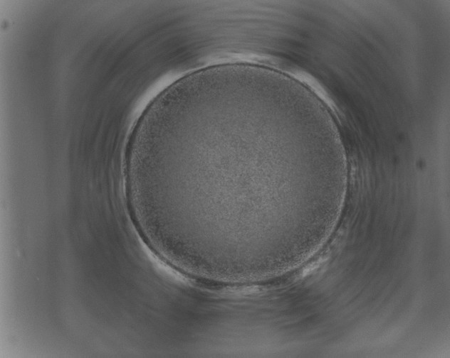 X0000070821143200606230915