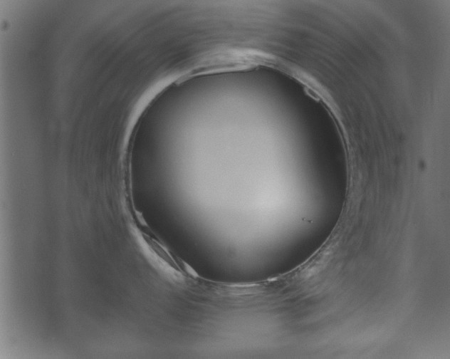 X0000070821152200606230915