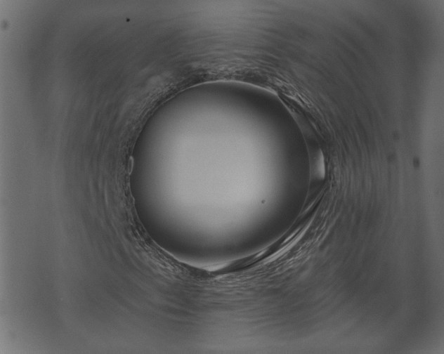 X0000070821153200606230914
