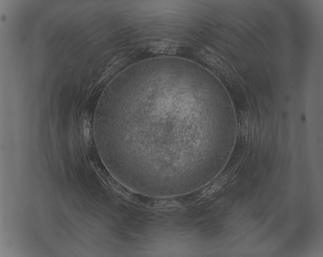 X0000070821154200606230914
