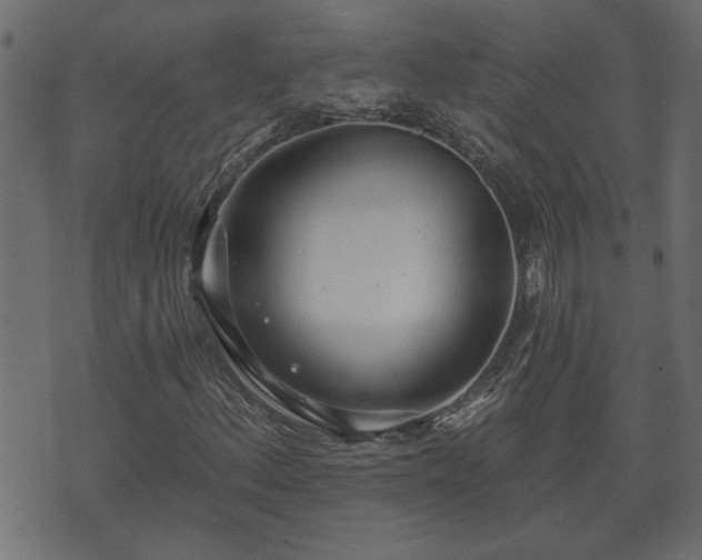 X0000070821156200606230914