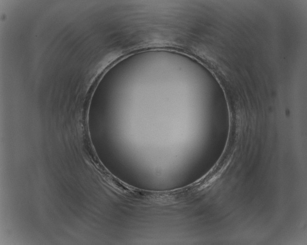 X0000070821170200606230914