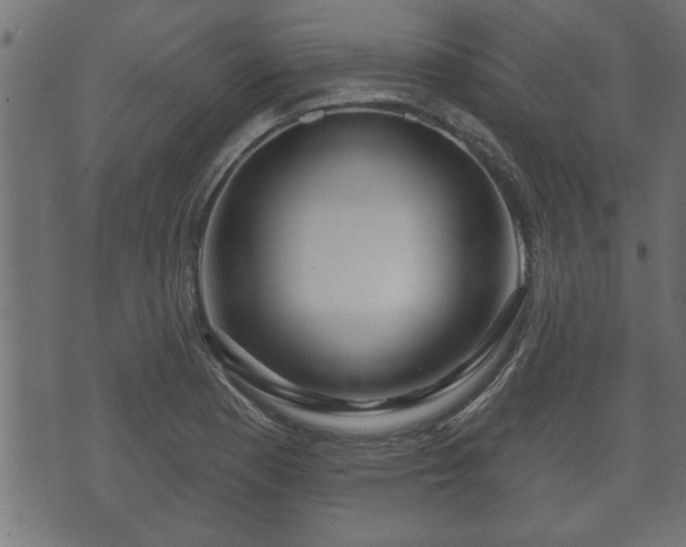 X0000070821177200606230914