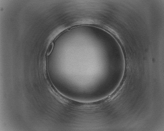 X0000070821179200606230914