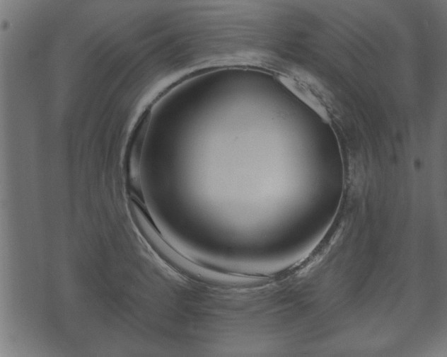 X0000070821184200606230914