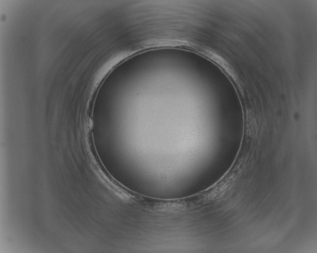 X0000070821187200606230914