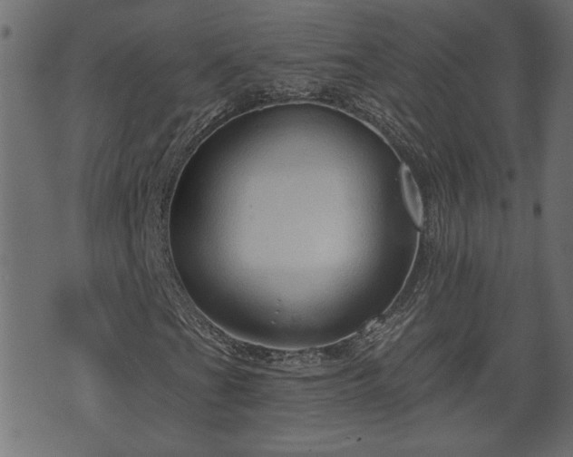 X0000070821201200606230913
