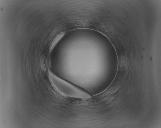 X0000070821202200606230913