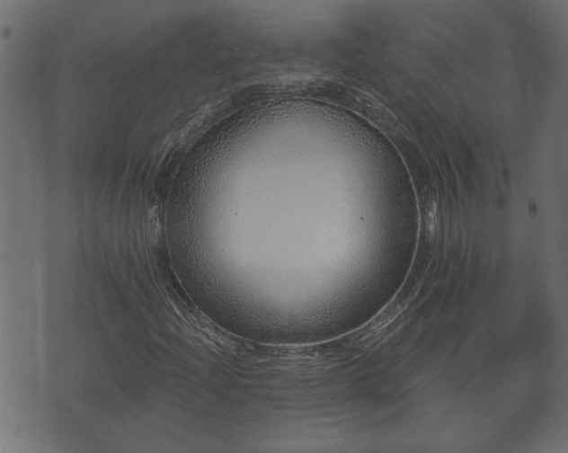 X0000070821204200606230913