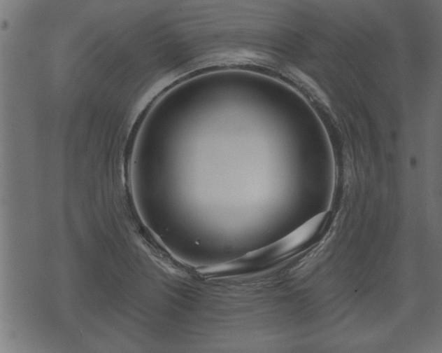 X0000070821226200606230913