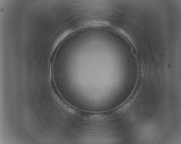 X0000070821227200606230913