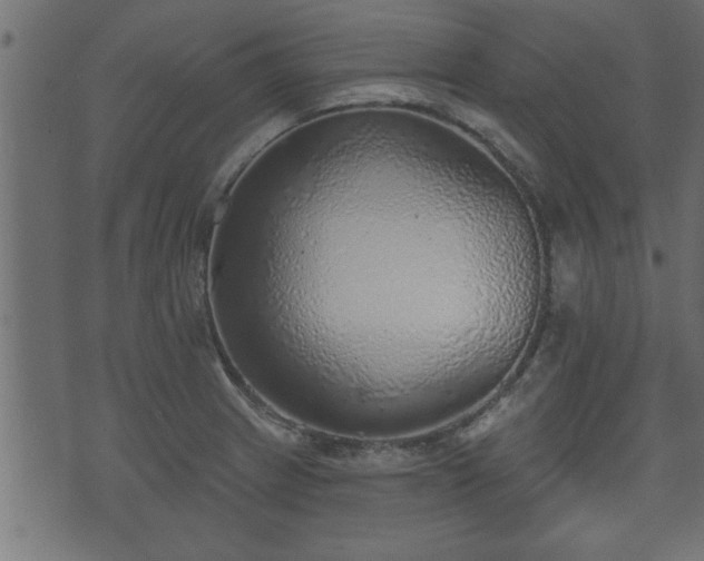 X0000070821233200606230913