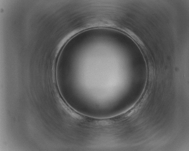 X0000070821246200606230913