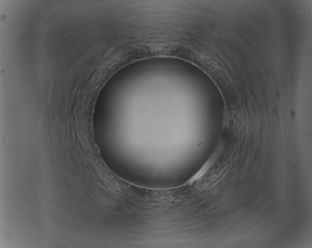 X0000070821249200606230913