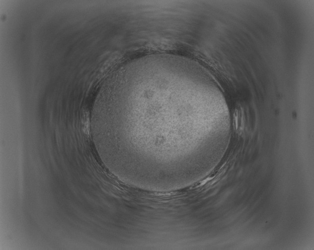 X0000070821251200606230913