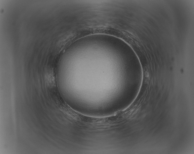 X0000070821252200606230913