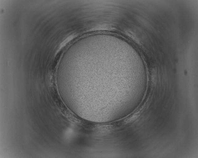 X0000070821258200606230913