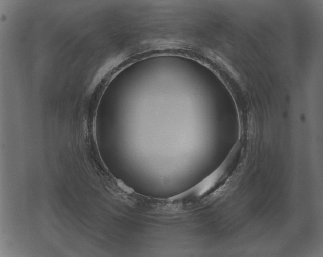 X0000070821261200606230912
