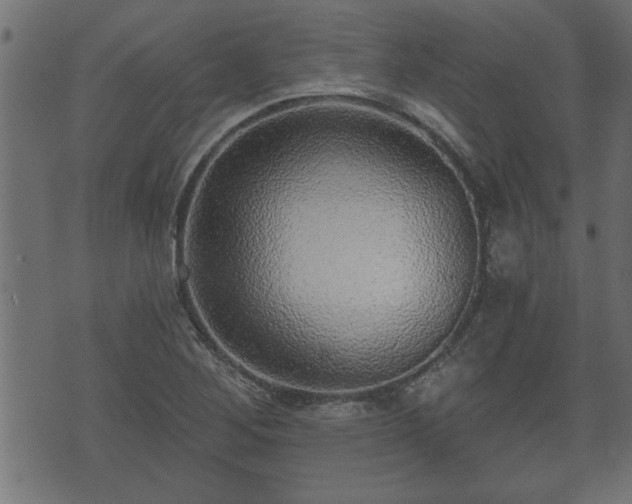 X0000070821268200606230912