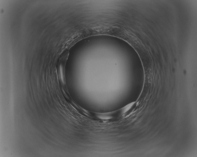 X0000070821298200606230911