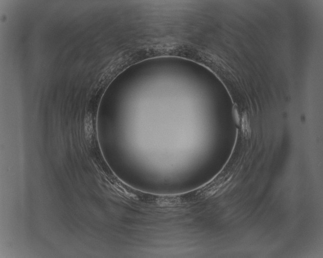 X0000070821299200606230911