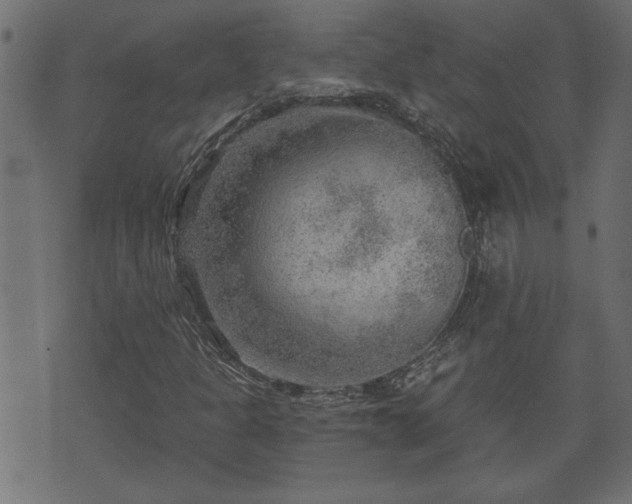 X0000070821301200606230911