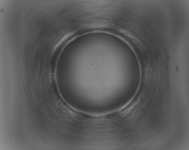 X0000070821306200606230911