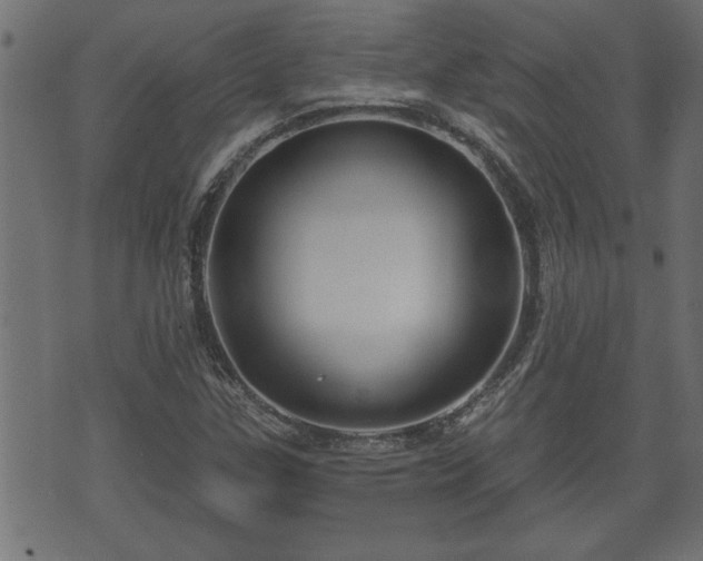 X0000070821307200606230911