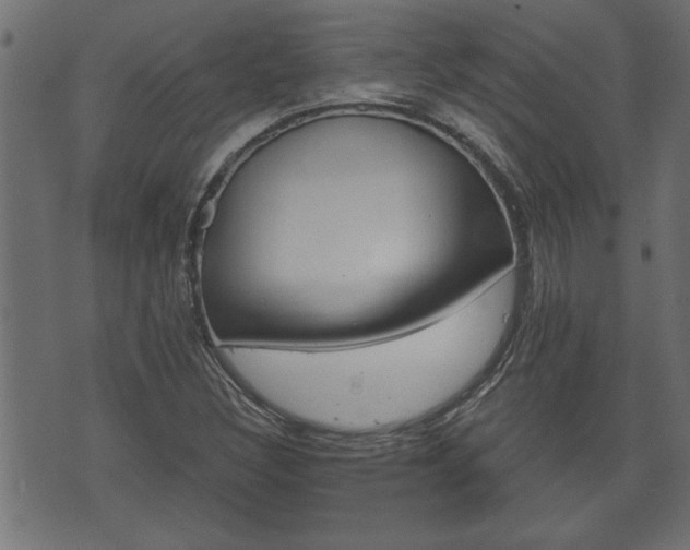 X0000070821308200606230911
