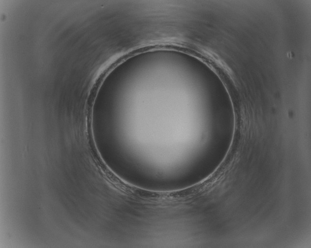X0000070821316200606230911