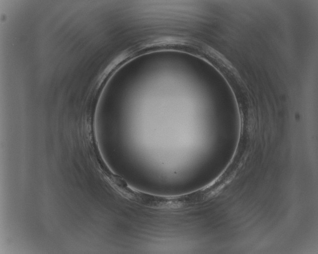 X0000070821321200606230912