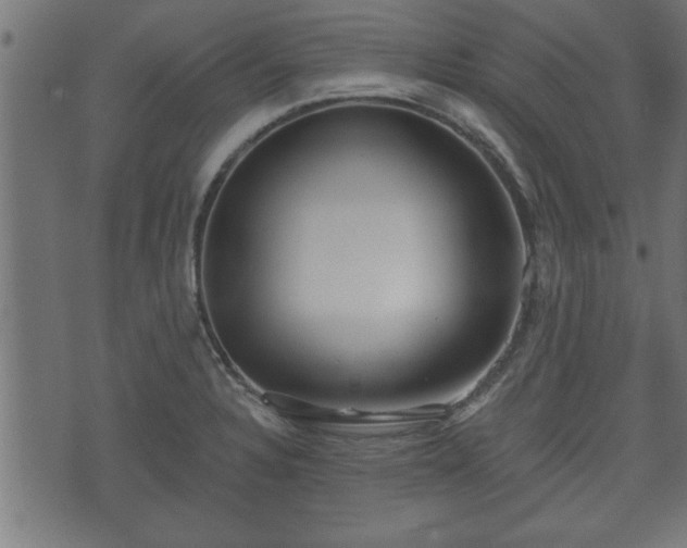 X0000070821328200606230912