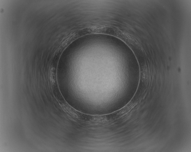 X0000070821346200606230911