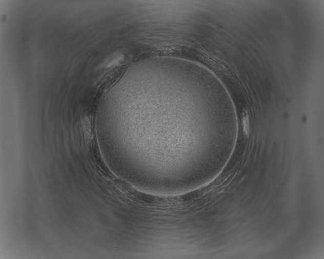 X0000070821347200606230911