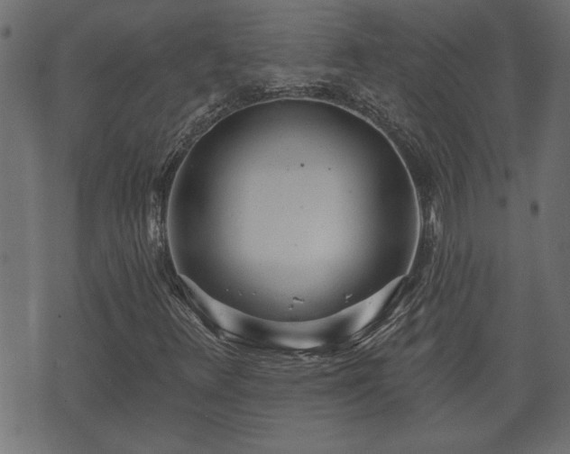 X0000070821348200606230911