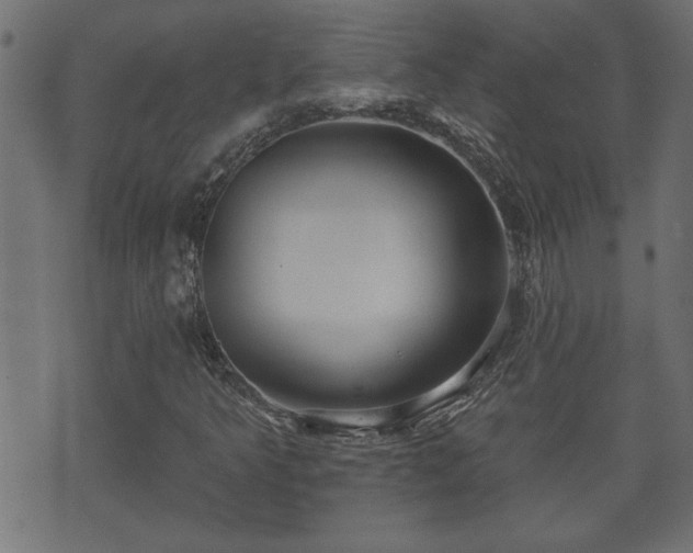 X0000070821349200606230911