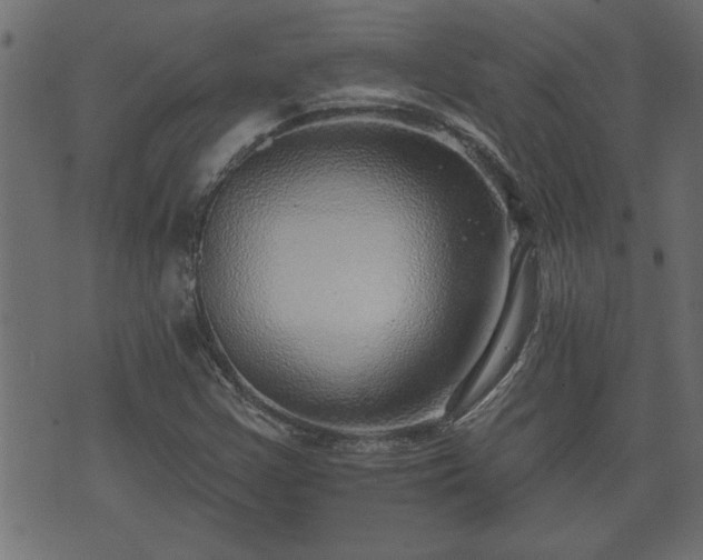 X0000070821355200606230911