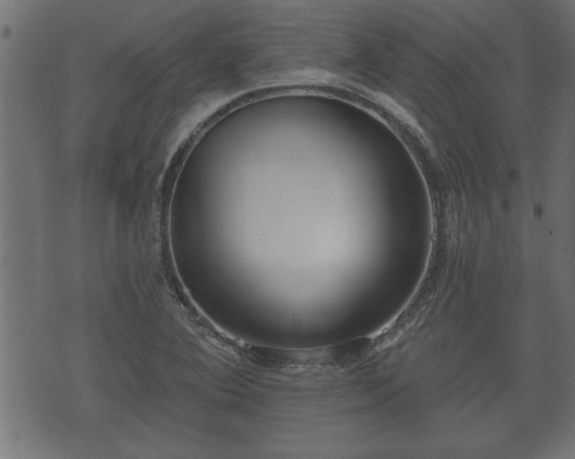 X0000070821364200606230911