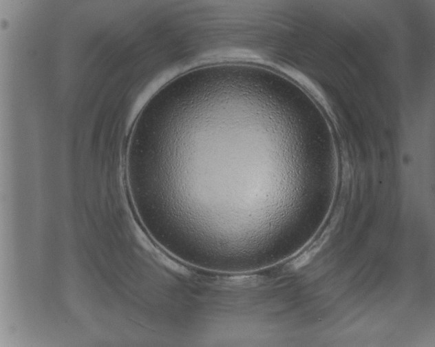 X0000070821390200606230910