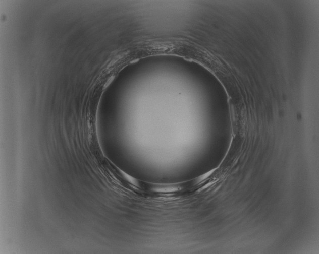 X0000070821394200606230910