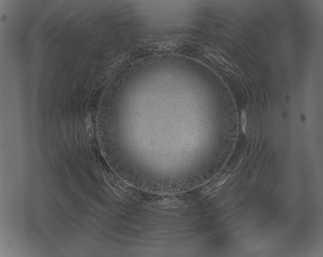 X0000070821395200606230910
