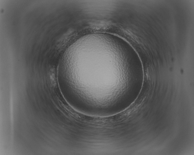 X0000070821396200606230910