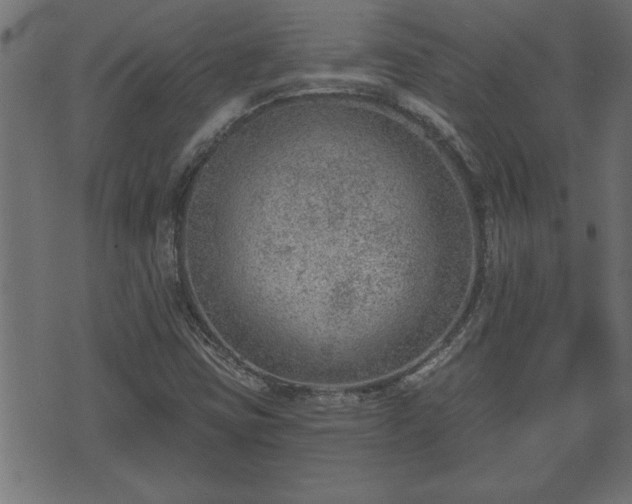 X0000070821403200606230910