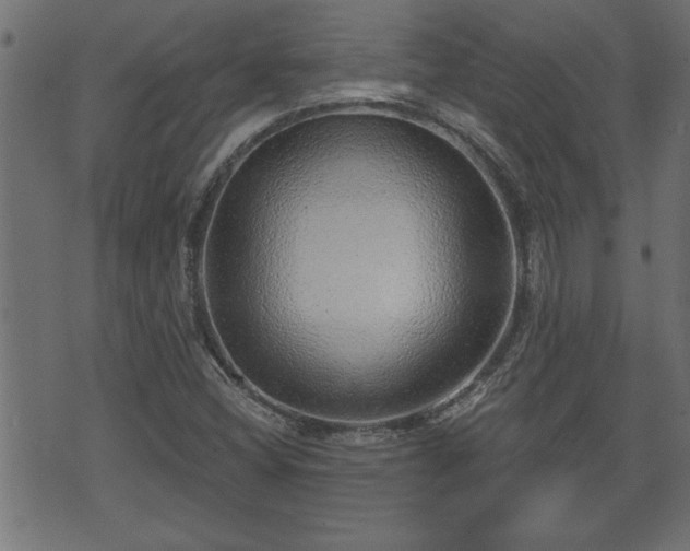 X0000070821404200606230910