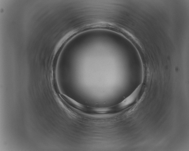 X0000070821418200606230910