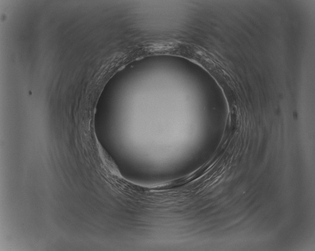 X0000070821441200606230910