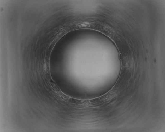 X0000070821442200606230910