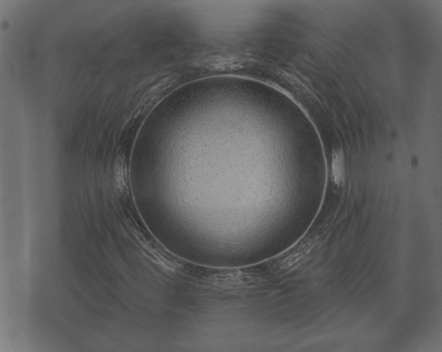 X0000070821444200606230910