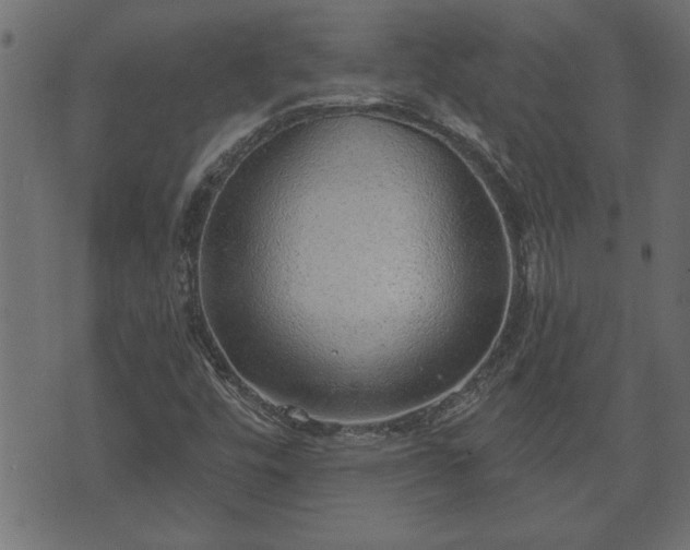 X0000070821448200606230909